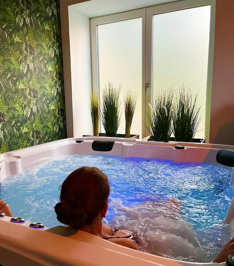 Le Manoir Des Haies Spa Hotel Les Champs-Geraux 0*,